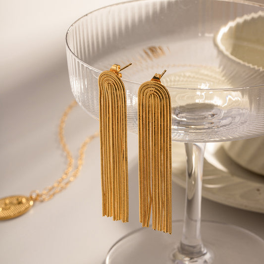 Long Tassel Earrings Fashion Women's All-match Titanium Steel