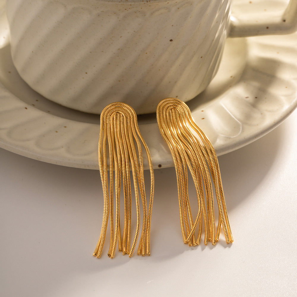 Long Tassel Earrings Fashion Women's All-match Titanium Steel