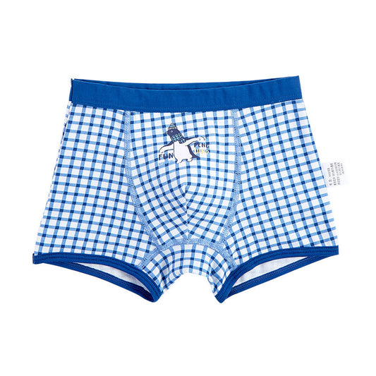 Blue and white checkered boxer briefs with a logo on a white background