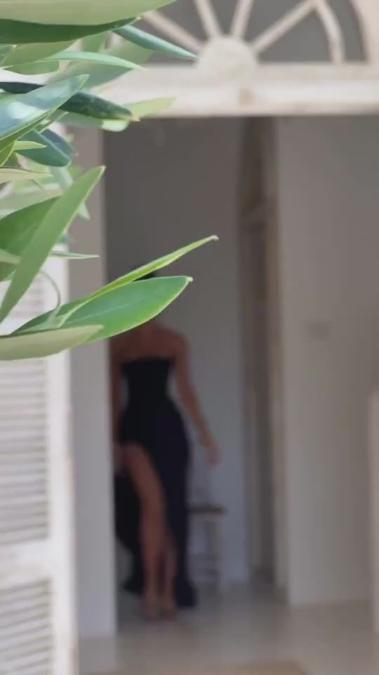 video millivan